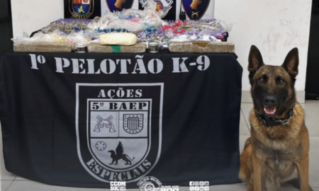 Itapecerica da Serra: cão farejador Thor localiza 24,4 kg de drogas enterradas em área de mata na Vila Geni