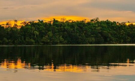 Complexo da Amazônia Central: patrimônio mundial protege mais de 6 milhões de hectares
