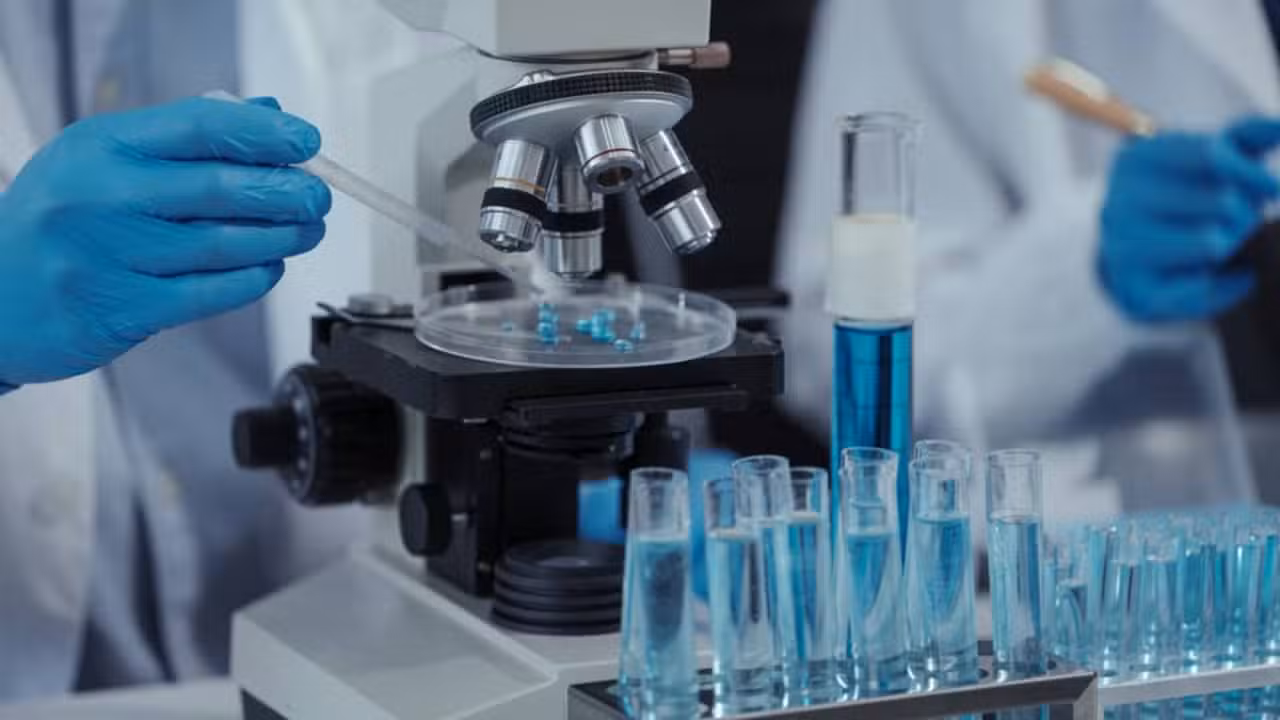 Delta246p53: pesquisadores de Coimbra descobrem variante de proteína que freia tumores e envelhecimento