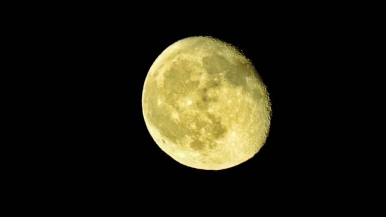 Lua do Caçador - Forest Arts/ istockphoto.com