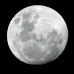 Lua - EcoPrint / shutterstock.com