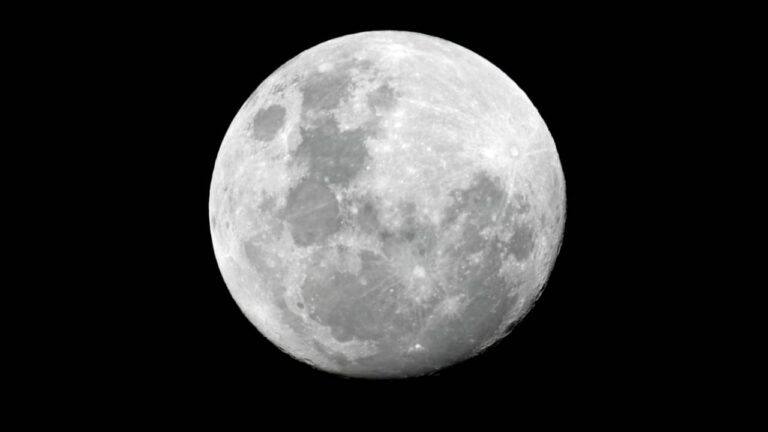 Lua - EcoPrint / shutterstock.com