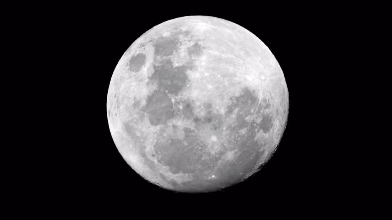 Lua - EcoPrint / shutterstock.com