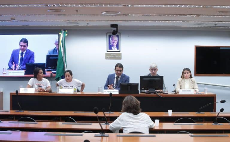 Mães de crianças desaparecidas foram ouvidas na Câmara dos Deputados