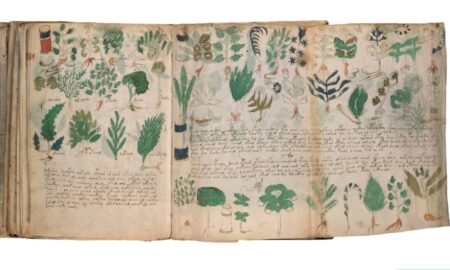 Manuscrito Voynich pode ter sido encadernado na ordem errada no século XV, revela pesquisa científica