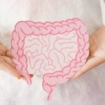 Mãos segurando um desenho de intestino - SewCreamStudio/shutterstock.com