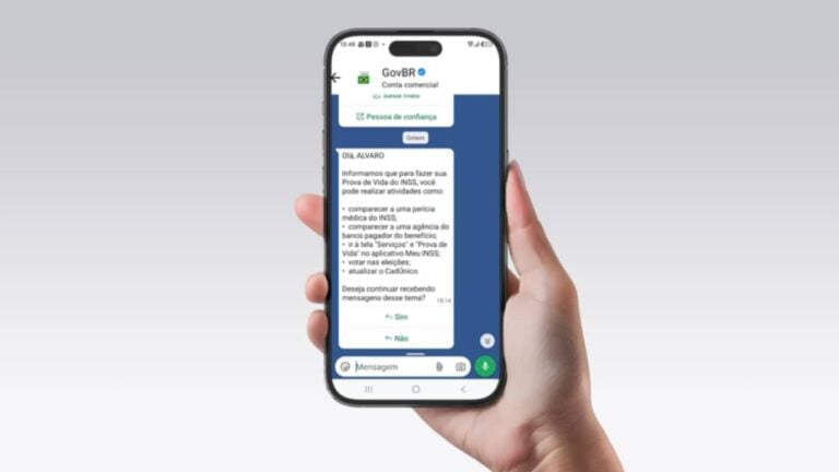 Mensagens enviadas pelo WhatsApp do Governo do Brasil - Divulgação/ Gov.br