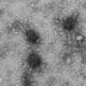Micrografias de um vírus que carrega proteínas Vipr - Divulgação/Santiago Lopez/Universidade da Califórnia, Berkeley