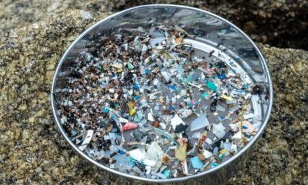 Microplásticos geram moléculas tóxicas ao tocar na água, diz estudo