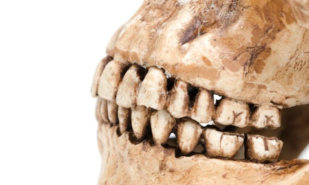 Dentes antigos perto de Stonehenge revelam migração de 100 km