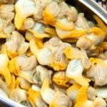 Molusco - istockphoto.com/ziquiu