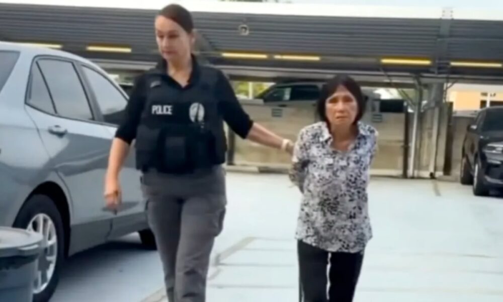 Idosa é denunciada após atropelar cão e pagar fiança de US$ 20 mil nos EUA
