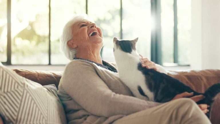 Mulher madura, idosa com gato no colo - PeopleImages / shutterstock.com