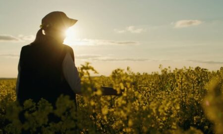 Trabalhadoras do campo e dependentes têm acesso a seis auxílios e aposentadorias pelo INSS