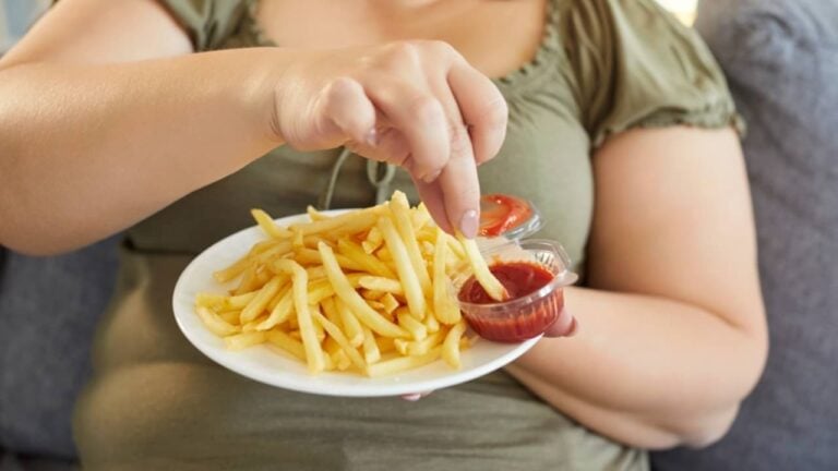 Obesidade, alimentos ultraprocessados, má alimentação - Studio Romantic/ shutterstock.com