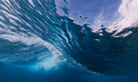 Oceano, mar - Dudarev Mikhail / shutterstock.com