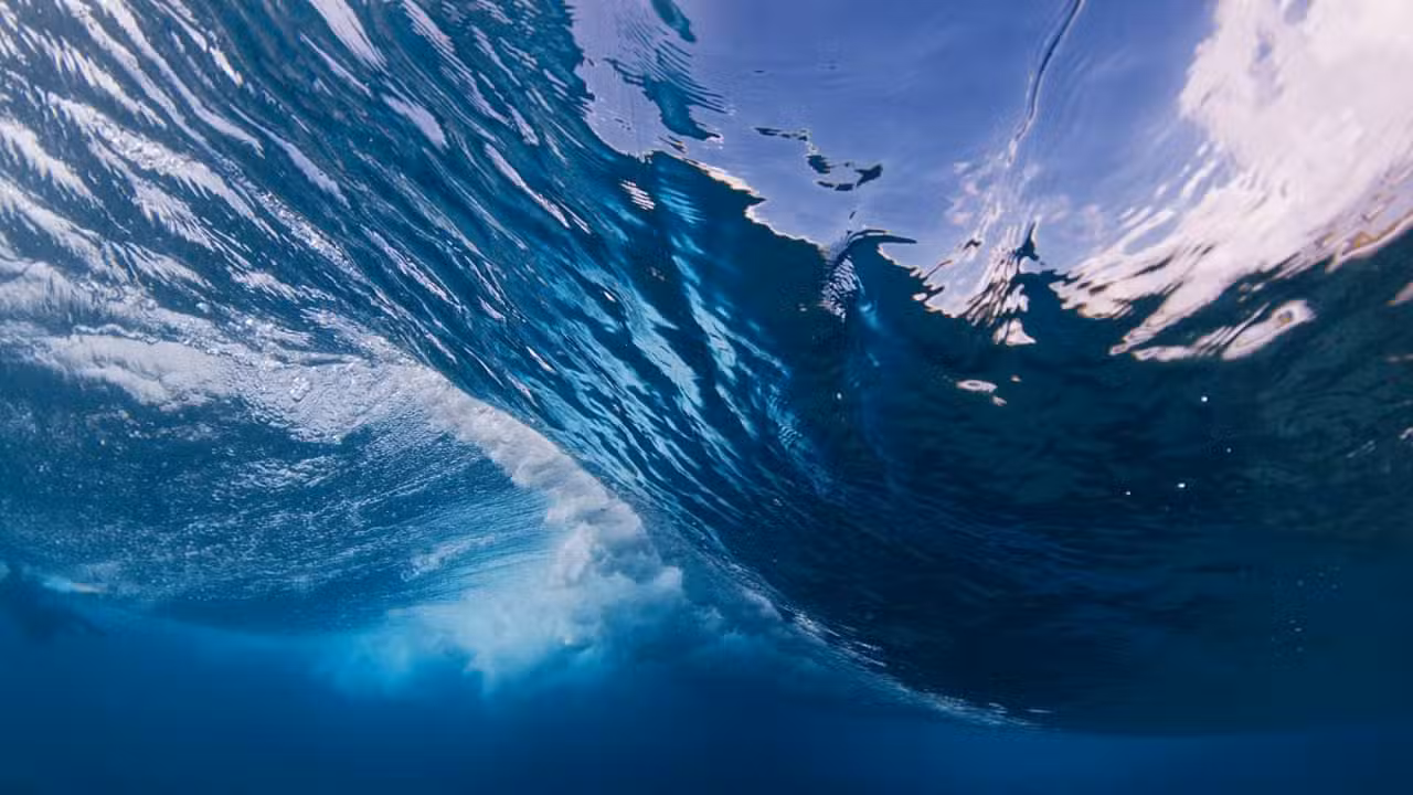 Oceano, mar - Dudarev Mikhail / shutterstock.com
