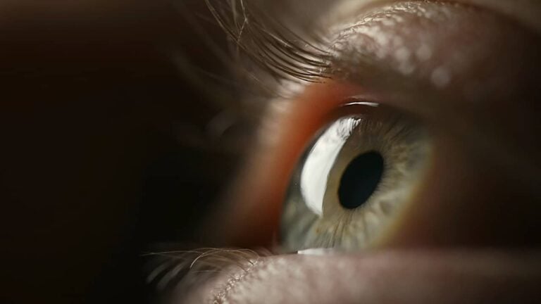 Olho humano - 24K-Production / shutterstock.com