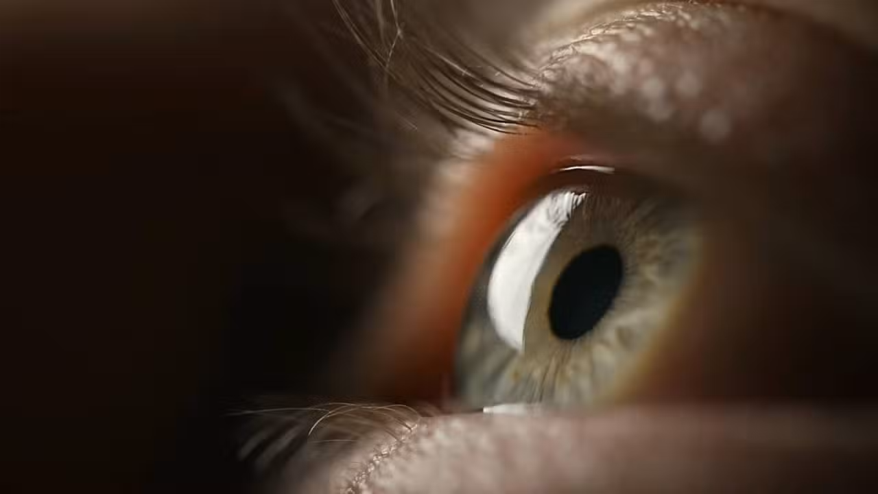 Olho humano - 24K-Production / shutterstock.com