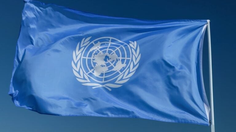 ONU - kckate16 - shutterstock.com