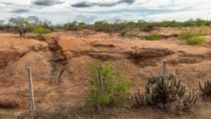 Paisagem semiárida - Cacio Murilo / shutterstock.com