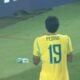 Pedro Seleção Brasileira - Globo
