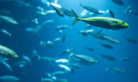 Peixes - PV productions/Shutterstock.com