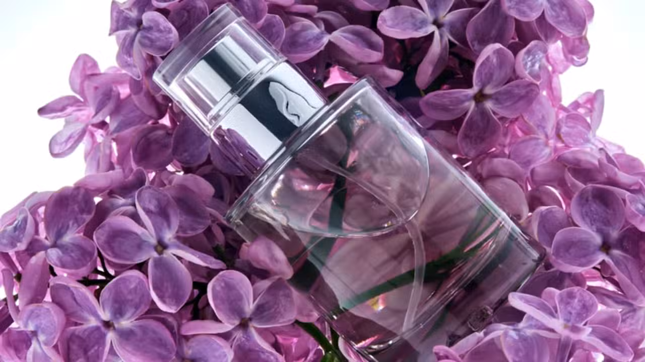 Perfume - marevgenna - shutterstock.com
