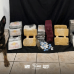 PM apreende 21,5 kg de crack e mais duas drogas na Zona Leste de SP