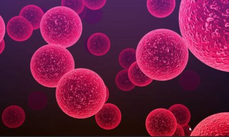pneumonia bacteriana - Cinefootage Visuals/shutterstock.com