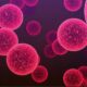 pneumonia bacteriana - Cinefootage Visuals/shutterstock.com