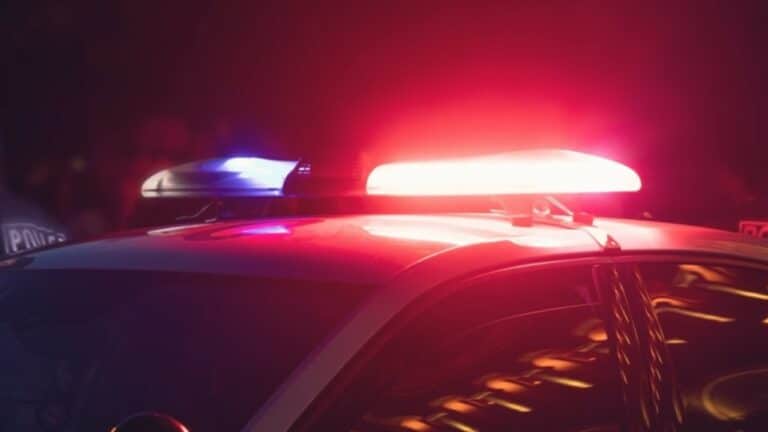 Polícia sirene - ANDRANIK HAKOBYAN/shutterstock.com