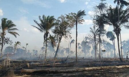 El Niño: Por que a série de ondas de calor prevista para o Brasil não se confirmou?