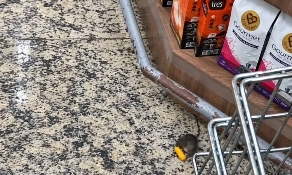 Rato circula em corredor de supermercado de Itapuã em Vila Velha