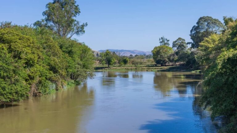 Rio Paraíba do Sul - Alekk Pires/ shutterstock.com