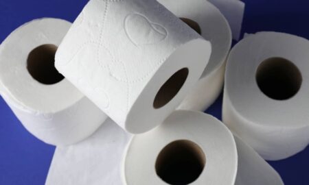 Rolos de papel higiênico - New Africa/ shutterstock.com