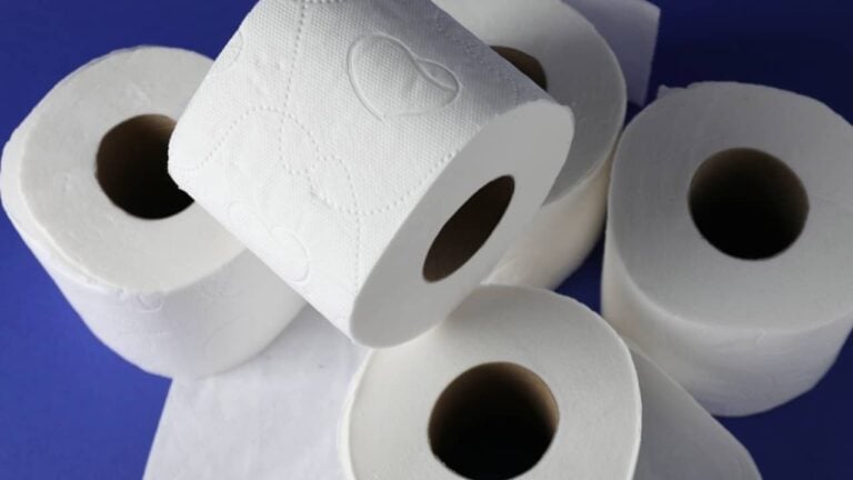Rolos de papel higiênico - New Africa/ shutterstock.com