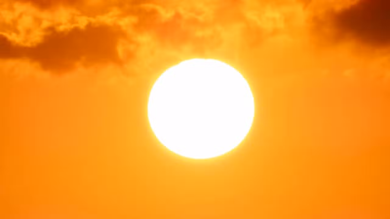 Sol - SCM Jeans/ istockphoto.com