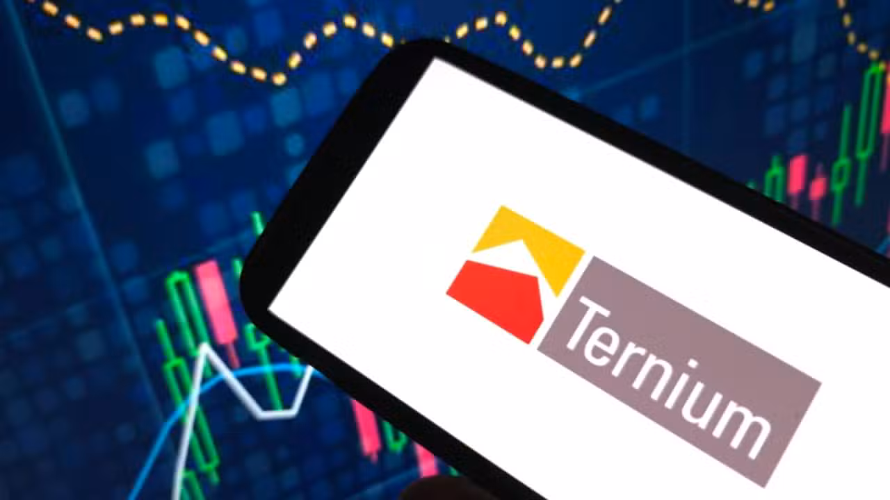 Ternium - Piotr Swat / Shutterstock.com