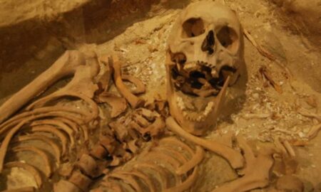 Estudo aponta comerciante de 1629 como primeiro chefe psicopata