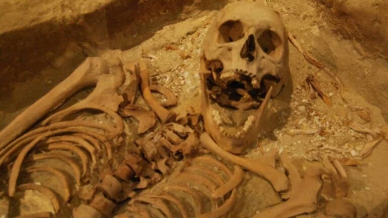 Vítima do Massacra do Batavia - Divulgação/worldhistory.org/Guy de la Bedoyere