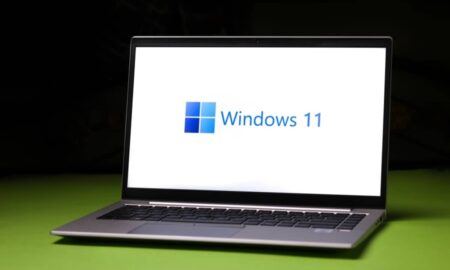 Windows 11 - Wirestock Creators / Shutterstock.com