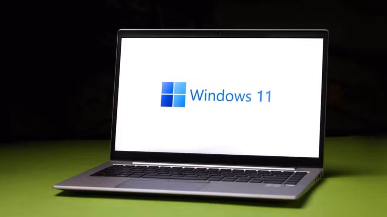 Windows 11 - Wirestock Creators / Shutterstock.com